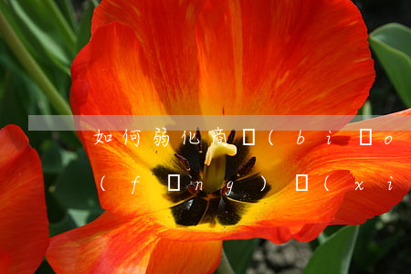 如何弱化商標(biāo)注冊(cè)風(fēng)險(xiǎn)呢？